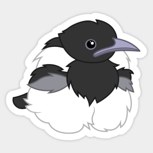 Baby Magpie borb Sticker